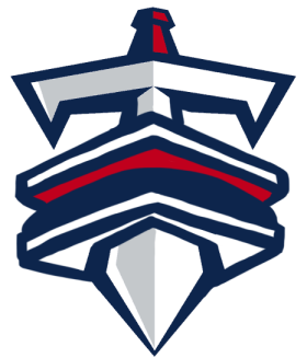 Tennessee Titans Fat Logo fabric transfer